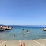 In 50 *